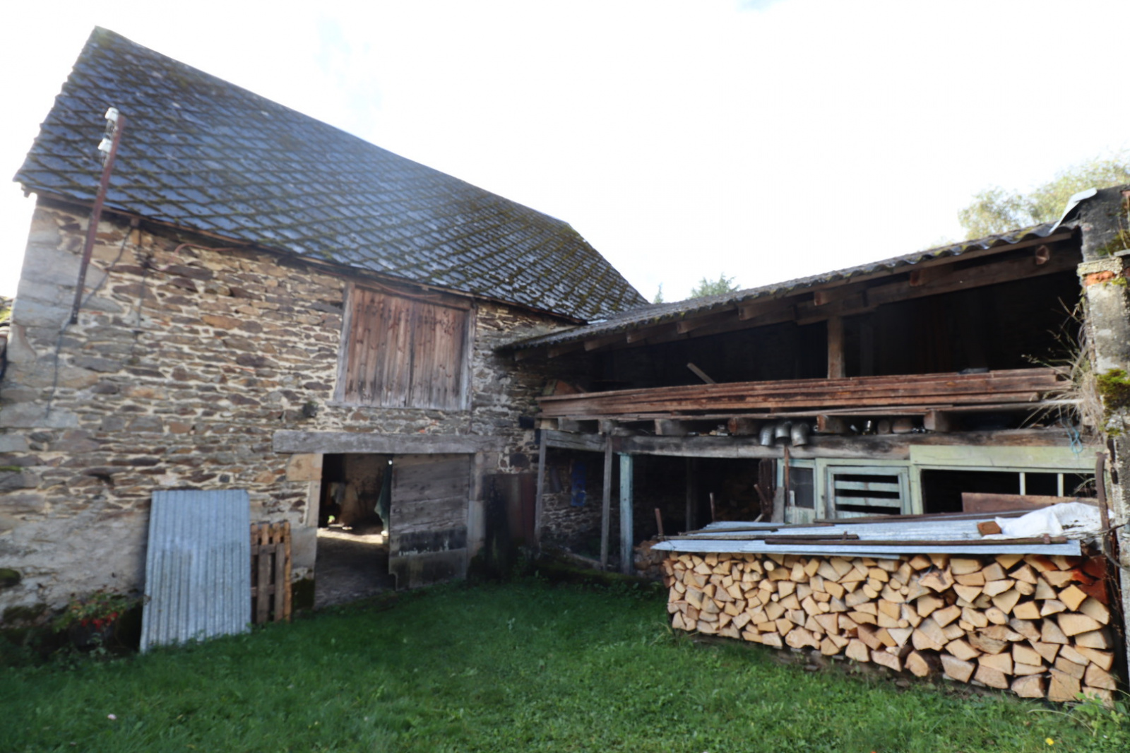 Image_, viager maison, Bourg-Lastic, ref :AHD599