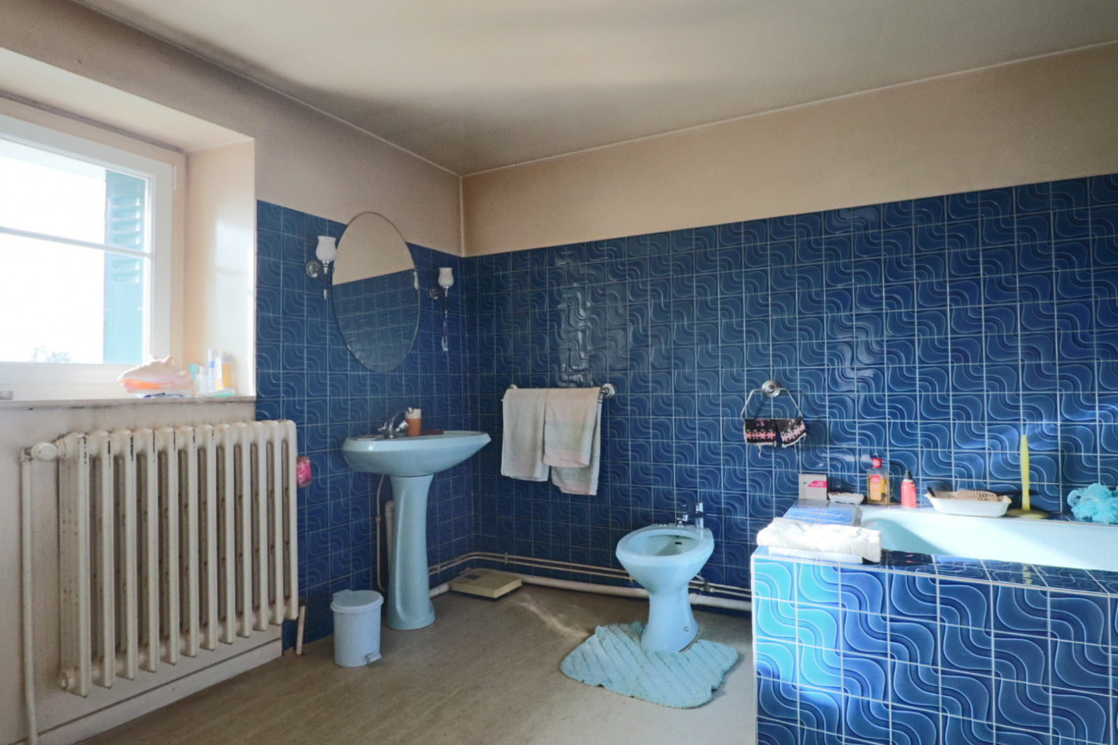 Image_, viager maison, Bourg-Lastic, ref :AHD599