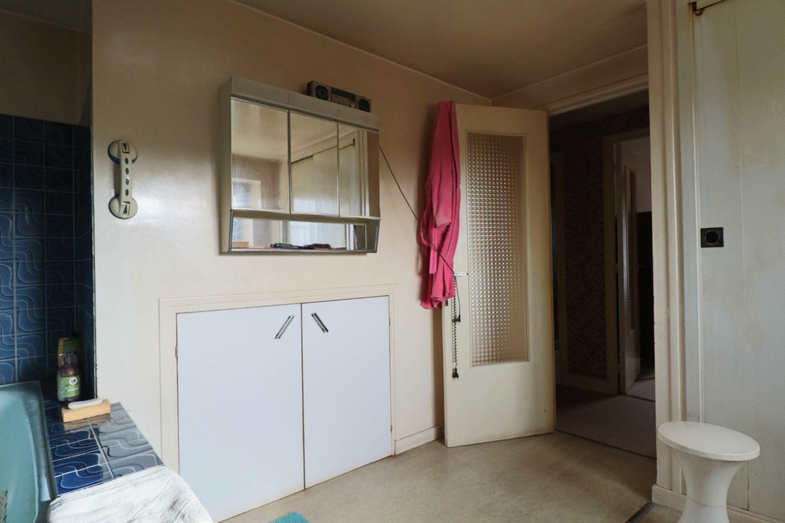 Image_, viager maison, Bourg-Lastic, ref :AHD599